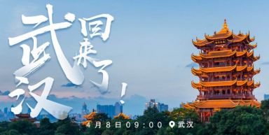 “連接線專家”金佳佰業(yè)，讓數(shù)據(jù)傳輸更高效